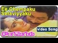 Donga Mogudu Telugu Movie || Ee Chempaku Selaviyyaku Video Song || Chiranjeevi, Madhavi, Radhika Donga Mogudu Telugu Movie || Ee Chempaku Selaviyyaku Video Song || Chiranjeevi, Madhavi, Radhika