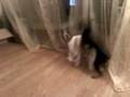 videos de 111908210117.3gp