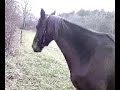 roma delire de nouveau.mp4