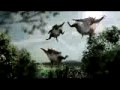 Guinness Evolution Beer Ad