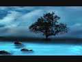 Chinese Bamboo Flute Music. ShaKuhachi