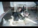 pequeo-homenaje-a-neron.html