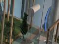 videos de MOV074