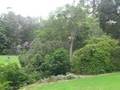 Listen to more birds at the Royal Botanic Gardens!
