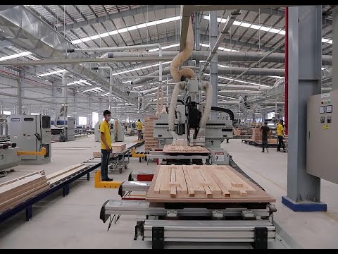 Hướng đi bền vững cho doanh nghiệp ngành Gỗ và sản phẩm Gỗ