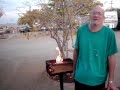 western trip 2009 update #4