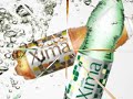 Jingle Xima