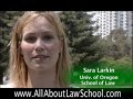 dvd all about law school