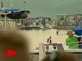 raw video: 150 wild ponies make famous swim