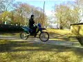 manga star dojran
