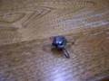 Itty Bitty vibrobot 2