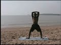 Fitness online with Fitness Activator \"stretch episode\" Fitness online with Fitness Activator \"stretch episode\"