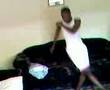 exact dutty wine frog back dance dancehall danceing bad man