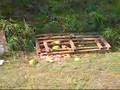 11-87 12 Gauge VS Watermelon