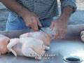 Poultry Processing Part 2