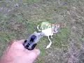 Watermelon airsoft