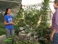 A Geodesic Greenhouse — Year-Round Gardening at 6000 Feet
