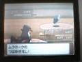PKMN Platino:El recorrido.73-Ruta 222 (1)