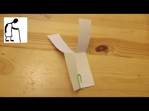 how to harvest sycamore seeds