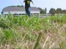 He can jump really high....and far..yeah its pretty cool