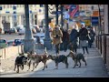 Вспыхнет свет. Клип. А.Приходько