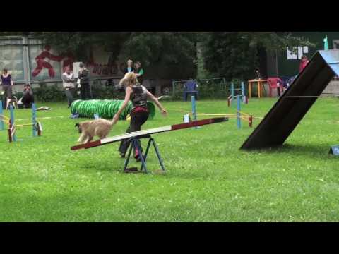 Мемориал Клоковой Ильина.mov