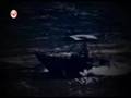 Peter R de Vries SBS6 reportage 2008 deel 1