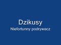 Dzikusy - Niefortunny podrywacz