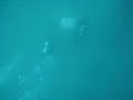 Two scuba divers