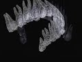3d medical animation