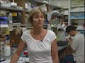 Science Today: Rice Genomics/UC Riverside