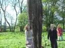 Wickerman Spring camp 2005