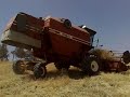 Mietitrebbia 3550 AL