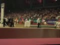 Olympia, Mini Grand National