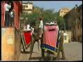 Elephant Ride