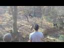 rope swingin!