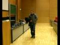 videos de FH Hagenberg - MTD07 - VG (3.Sem) - Schummler (7 shots)