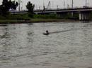 gasser airboat gasser airboat
