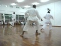 videos 021