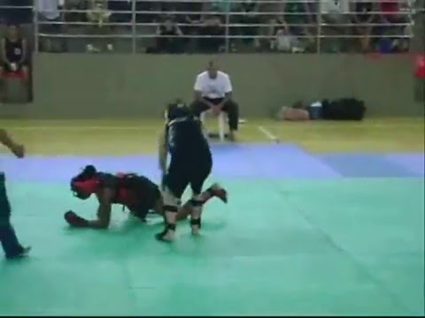 Campeonato estadual de kung fu - 2008 See video