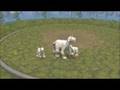 Spore -- KoL familiars