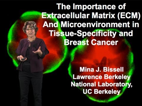 how to isolate extracellular matrix