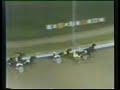 1978 Roosevelt Raceway International Trot 1978 Roosevelt Raceway International Trot