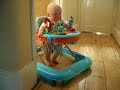 Ptolemy is getting quite good at manouvering in his walker, and he loves to chase Molly and Gertrude!