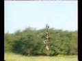 commandos de l'air