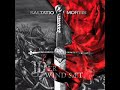 12 Saltatio Mortis - Wir Säen den Wind (Wer Wind Sæt)