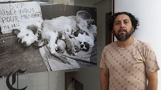 Exposición muestra la indigencia desde el drama de los animales