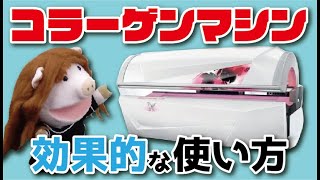 コラーゲンマシンに入る間隔は？