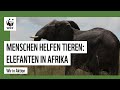 WWF Sambia: Mensch-Tier-Konflikte in Afrika