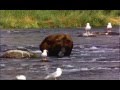 videos de the memory lane done_0001.wmv